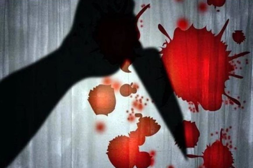 महिला-के-ऊपर-चाकू-से-ताबड़तोड़-वार-कर-जानलेवा-हमला,-आरोपी-गिरफ्तार