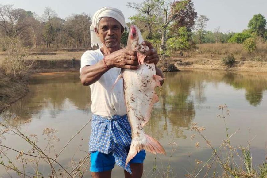 मत्स्य-पालन-से-आर्थिक-समृद्धि,-सालाना-आय-5.5-लाख-रुपए