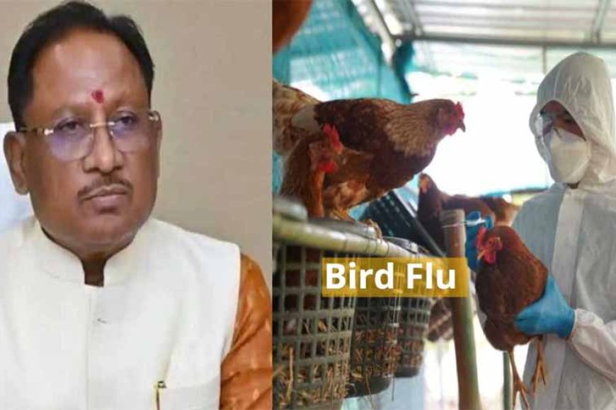 मुख्यमंत्री-ने-बर्ड-फ्लू-की-रोकथाम-के-लिए-कलेक्टरों-को-दिए-दिशा-निर्देश