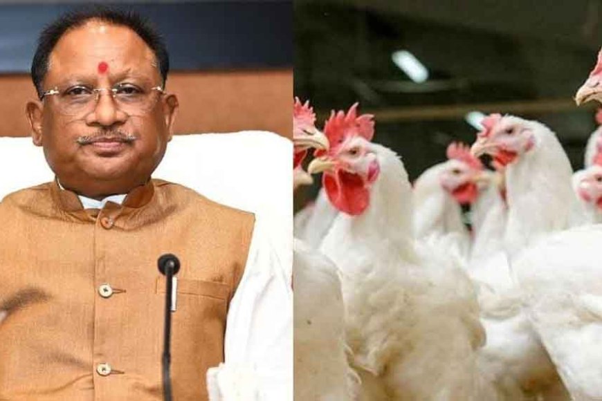 छत्तीसगढ़&रायगढ़ में मिला बर्ड फ्लू का केस, सीएम साय ने रोकथाम के दिए दिशा निर्देश