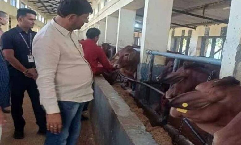 पशुपालन-से-ही-खेती-लाभ-का-व्यवसाय-बनेगा-:-उप-मुख्यमंत्री-शुक्ल