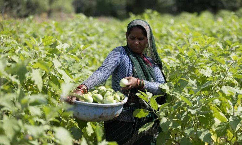 एचडीएफसी-बैंक-के-परिवर्तन-अभियान-ने-मध्य-प्रदेश-में-63-लाख-से-ज़्यादा-लोगों-के-जीवन-को-प्रभावित-किया