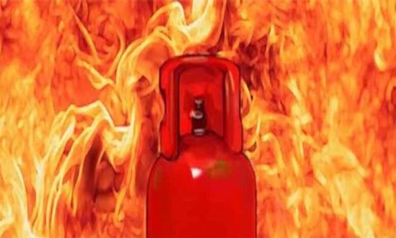 किचन-सेफ्टी-अलर्ट:-कीटनाशक-स्प्रे-से-भी-भड़क-सकती-है-आग,-lpg-सिलेंडर-पर-न-डालें-पानी