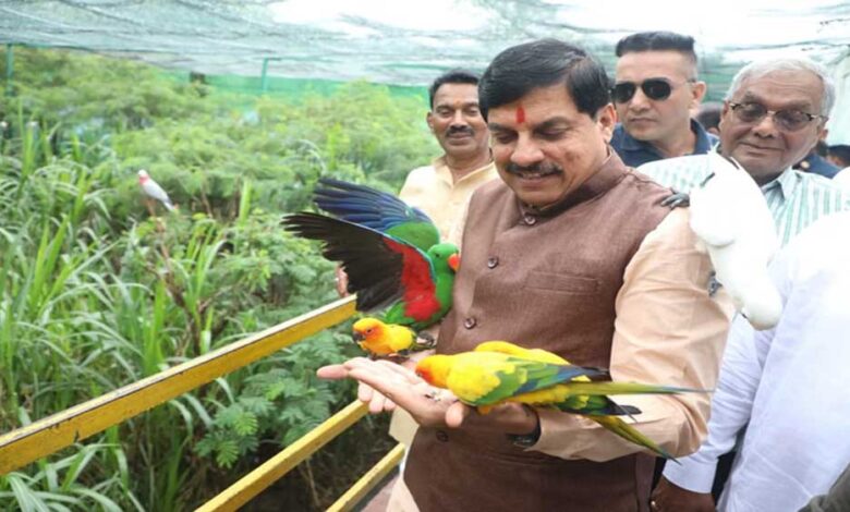 इंदौर-प्राणी-संग्रहालय-में-शिमोगा-से-आए-चार-जंगली-भैंस,-नए-मेहमानों-से-मिलने-पहुंचे-मुख्यमंत्री-यादव