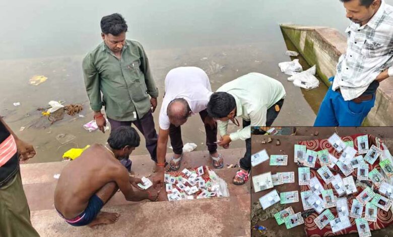 राजा-तालाब-में-मिले-सैकड़ों-ओरिजनल-वोटर-आईडी-कार्ड,बिजावर-में-मचा-हड़कंप