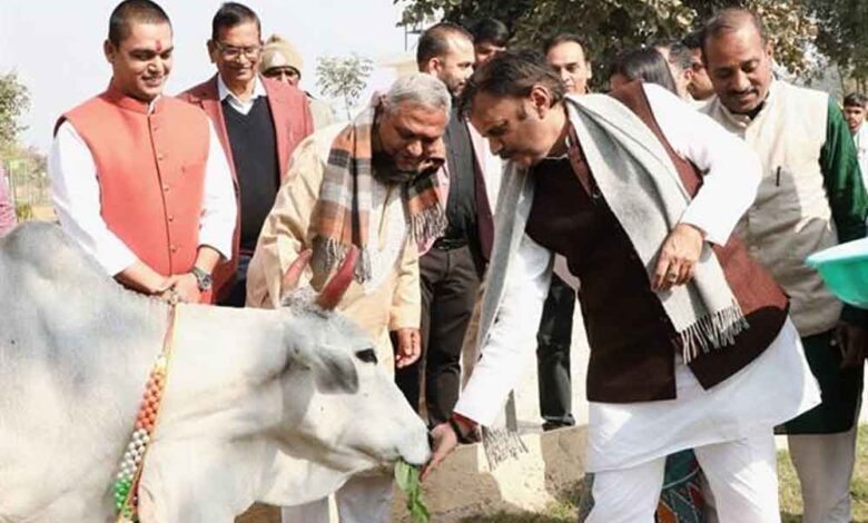 उप मुख्यमंत्री शुक्ल ने बसामन मामा गौवंश वन विहार में ऋषि कुलम का किया भूमिपूजन