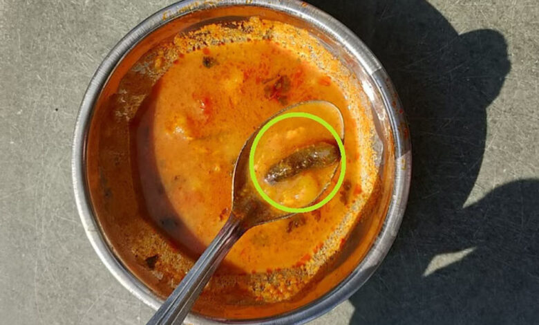 खंडवा: खाने में 3 इंच की इल्लियां, विरोध करने पर वार्डन ने कहा- तुम्हारी निजी बातें उजागर कर दूंगी