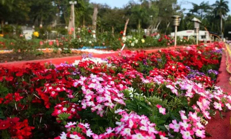 पुष्प उत्पादन को दिया जायेगा व्यवसायिक स्वरूप : उद्यानिकी मंत्री श्री कुशवाह