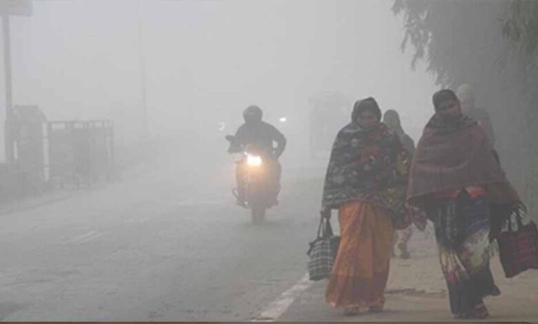MP के 19 शहरों में कड़ाके की ठंड, राजगढ़ सबसे ठंडा: तापमान 3°C, सतना में दृश्यता सिर्फ 50 मीटर